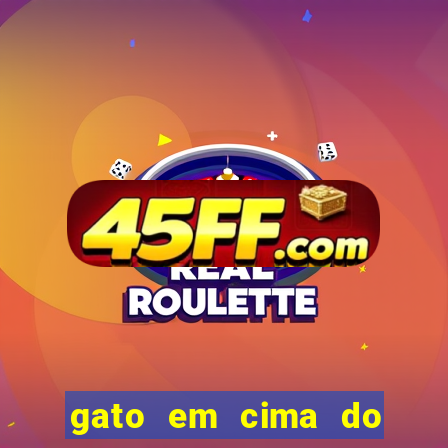 gato em cima do telhado significado espiritual